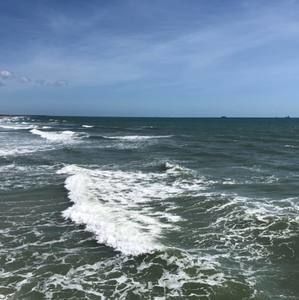 Meet your Posher, Tanya